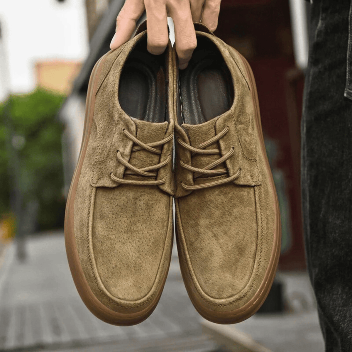 The Ariston Oxford
